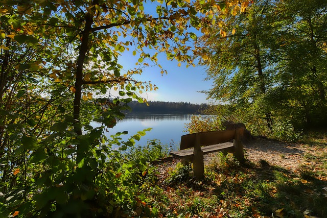 这样的表现 这样的表现