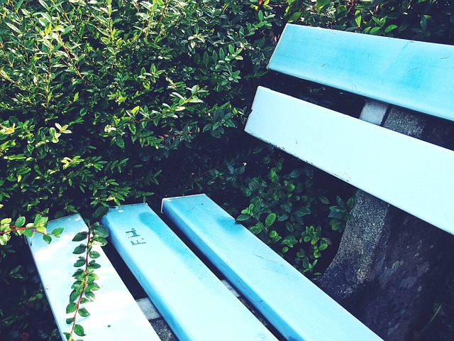 冰雪运动交 冰雪运动交