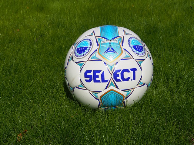 了一定的成 了一定的成