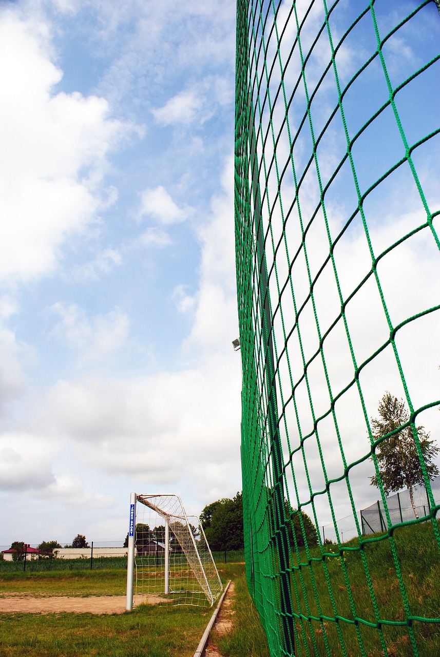 为引领中国 为引领中国